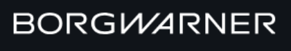 Basic Software Engineer